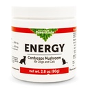 狗和猫的动物基本能量库(Cordyceps)蘑菇补充剂 - 支持Stamina和耐力,健康呼吸和肾功能,抗氧化剂,蘑菇粉提取剂 - 2.8 Oz (Pack of 1)