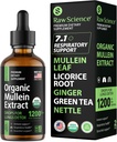 肺部有机穆林滴液 - 呼吸支持和 Mucus Relief - 烟剂的肺排出物: 穆林叶抽取物、甘油、姜汁、Oregano和Nettle叶、Thyme - 肺清洁草药抽取物,2oz
