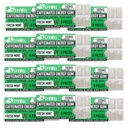 LyvWel Energy Gum – 每宝石100mg Cafeine – 所有天然的 – 无糖 – 工作前的脚步:你的必需能量补充剂 保持清醒 - 卡顿 12包(Mint - 12包)