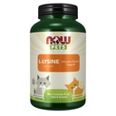 Now Pet Health, L- Lysine Supplement, Powder, 为猫类设计, NASC 认证, 8-Ounce