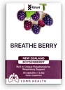Breathe Berry Boysenberry 天然健康肺补充,支持胸腔摄入, Mucus 和 boos 总呼吸健康肺补充