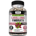 Kaya Naturals - Caralluma Fimbriata 1200mg 高潜力补充 QQ 最大强度自然耐力支持,蔬菜卡普尔(30个计数)