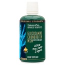 Natures Plus Ultra Rx-联合液体,蜂蜜柠檬 - 30 fl oz - 支持健康联合功能 - 与Glucosamine,Chondroitin & MSM - Gluten Free - 30 services