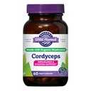 俄勒冈州野生收获 Cordyceps 有机蘑菇草药补充剂(Freeze-Dried) | 耐力和Stamina 支持, 60 Counter