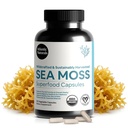 大西洋自然海 Moss Capsules with Moringa, Ashwagandha, 黑种子油, Ginger & Ginseng – 大西洋 Moss 男女补充 – Daily Energy & Wellness Blend – 120 Counter 互联网档案馆的存檔,存档日期2014-03-02.
