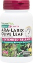 NaturesPlus Herbal Actives ARA Larix 橄榄叶 - 30块板块 - 免疫支持补充品,扩展释放植物综合体 - 蔬菜,Gluten Free - 30 services