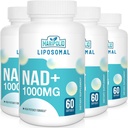 Liposomal NAD+ Supplement 1000 mg → 最高 NAD Pontecy → 最大吸收 → 纯 NAD Supplement → 能源和DNA修复,老化防御,大脑功能 → 240软胶