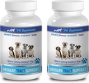 狗膀胱失禁可嚼剂-DOG URINARI TRACT支持 - 天然CRANBERY溶液 - BLADDER HARTH - VET推荐 - 狗cranberry提取物 - 2瓶(180份)