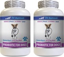 对狗的抗腹泻药丸 - PROBIOTICS对狗的抗腹泻药丸 - 健康古特 - 停止毒气痢疾和坏呼吸 - 消化剂 - 狗的亲生药包 - 2瓶(120 治疗)