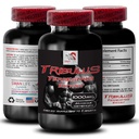 Stamina 支持公式 - TRIBULUS TERRESTRIS EXTRACT - 动力再充电,动力支持组合,物理脚步,厂家能量,机体支持公式,力量与动力,主动力量 1Bot 90Tab