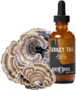北Spore Organic Turkey Tail Tinture – 乳房健康的蘑菇补充品 – 可持续成长和确认为可能生长的蘑菇 – Trametes Versicolor extraction – | Vegan, Non-GMO - 2oz