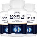 超氧化物分离酶补充500mg - SOD Plus 配有 Liposomal Glutathione, AKG, Green Tea 提取剂, L-Arginine, Lysine, Reveratrol 和维生素E 用于免疫支持, 抗氧化剂180 Capsules