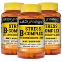 MASON NATURAL压力B,与抗氧化剂+锌的混合,6个月供应,双行动公式,支持能量代谢和免疫健康,3包