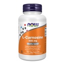 现在食品补充品,L-Carnosine(Beta-Alanyl-L-Histidine)500毫克,健康老化,100Veg Capsules