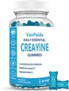 Creatine Gummys Monohydrate, Chewable Creatine Monohydrate, 肌肉靴, 能量靴, 工作前补充剂, 增强乳液, Vegan, 肌肉生长支持, 恢复与性能, Gluten Free