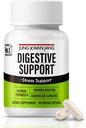 JungKwanJang 消化健康支持-Papain 400mg,美国Ginseng 143mg,Bromelain 400mg,消化舒适和营养吸收的Gut健康补充,60 Capsules for Men and Women