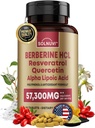 Premium Berberine 补充剂 Resveratrol Quercetin Alpha Lipoic Acid - 50:1 柏伯林 HCl 复合性强抗氧化剂,多酚,维生素-90 Vegan 片,非GMO,无胶原