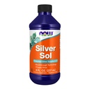 Now Foods Supplies, Silver Sol 10 PPM 配有元素银和去离子化水,液体, 8-Ounce