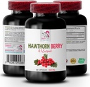 妇女抗氧化剂补充剂 -- -- HAWTHORN BERRIES EXTRACT -- -- 草角提取剂补充剂、莓汁补充剂、抗氧化剂浆果、野莓能量、草角能量丸 -- -- 1瓶60卡普苏尔