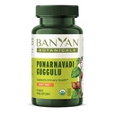 Banyan植物科植物科植物科植物科植物科植物科植物科植物科植物科植物科植物科植物科植物科植物科植物科植物科植物科植物科植物科植物科植物科植物科植物科植物科植物科植物科植物科植物科植物科植物科植物科植物科植物科植物科植物科植物科植物科植物科植物科植物科植物科植物科植物科植物科植物科植物科植物科植物科植物科植物科植物科植物科植物科植物科植物科植物科植物科植物科植物科植物科植物科植物科植物科植物科植物科植物科植物科植物科植物科植物科植物科植物科植物科植物科植物科植物表 科植物科植物科植物科植物科植物科植物科属表 科植物科植物科植物科植物科植物科植物科植物科植物科属表 科植物科植物科植物科植物科植物科植物科植物科属表 科植物科植物科植物科植物科植物科属表 科植物科 科植物科植物科 科植物科植物科植物科植物科植物科植物科植物科植物科植物科植物科属