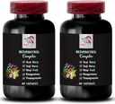 Daily Energy - RESVERATROL Complex - Berry Blend,水力平衡,强力抗氧化剂,天然成份,Noni Power,Berry福利,营养支持,刷新Flavor 2瓶120盖