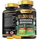 Goldenseal Root 补充 - 10in1 公式 - 与 Echinacea, Berberine, Turmeric, Cayenne Pepper, Ginger, Apple Pectin, Neem, & More - 消化性健康支持 - 120 Capsules