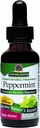 (原始内容存档于2019-09-25) (英语). Nature's Answer Peppermint Leaf with Organic Hool, 1-Fluid Ounce + 消化支持 ~ 尽量减少胃部的不适 → 饮食碗支持