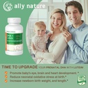 Vegan 产前DHA 440mg – Lutein 20mg for pregrency – 非GMO 孕妇产前多维特敏 – 支持婴儿发育中的健康脑,眼和心脏 - 60 Softgels