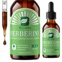 Berberine HCL 配有 Ceylon Cinnamon - Liposomal Berberine Phytosome Liquid Drops with Turmeric, Ceylon Cinnamon, Bitter Melon, 牛奶硝酸盐, AMPK 激活器用于消化支持