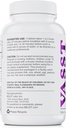 BELDT实验室 VASST 氮氧化物助推器,未另作规定的,配有超过3 000毫克的Arginine-AKG、OKG、GKG和L-Arginine HCL用于肌肉建设和增强宽度-90块平板