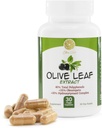 橄榄叶提取法 - 500mg - 补充物 标准化为25% Oleuropein - 20% Hydroxytyrosols - 40% 多酚 - 非GMO + Gluten Free + 奶油 Free + Soy Free + Vegan (30 Capsules)