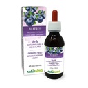 Naturmala Bilberry或欧洲蓝莓(Vacinium myrtillus) 无酒精果实丁香 - 4 fl oz 滴液中的液体提取 - 草药补充剂 - Vegan