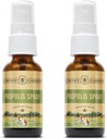蜂蜜园 蜂蜜 喉咙喷洒 与Apitherapy Raw Honey, Licorice Root 和 Usnea 50 服务 ~ 1 Fl Oz → 包装 2