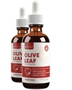 Rejuvica Active Olive Leaf Extract – 天然的Oleuropein液滴用于Imune和心脏支持 – 快速吸附,Vegan,无酒精 → 4 fl oz