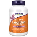 NNO Supples, Lecithin 1200 mg 天然发生磷酸酯胆碱,100软胶