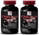 Natural Stamina Boost - TRIBULUS TERRESTRIS 提取 - 强度和活动支持,能量优化公式,植物动力,身体性能组合,主动恢复,能量流 2Bot 180塔