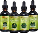 Go Nutrients Digestion & Detox Bundle – Liquid Chlorophyll, Liver Edge, Intivenal Edge, Turmeric Ease – 支持清洁, Digestion, Liver Health, 以及身体防御, 振兴皮肤和体质