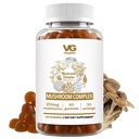VITA GLOBE 蘑菇复合食品 – 与Reishi, Lion's Mane, Chaga, Cordyceps & More & & +++ 免疫防御,能量和大脑功能支持的每日补编 – 60 counts (Pack of 1).