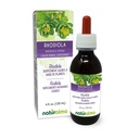 Naturalma Rhodiola rosea (Sedum roseum) 根无酒精小叮当 - 4 fl oz 滴液提取 - 草药补充 - Vegan