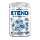 XTEND Sport BCAA 蓝莓冰 - 用氨基酸进行回收和水化的电解粉 - 30种