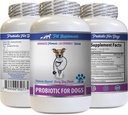 狗消化酶 Powder - PROBIOTICS for Dogs - 健康古特 - 停止毒气痢疾和不良呼吸 - 消化靴 - 狗的亲生素 - 1瓶(60 treats)