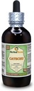 Catechu (Acacia Catechu) Glycerite, 干草无酒精液体提取器(Brand name:Herbalterra, 自豪地在美国制造) 4 fl.oz (120毫升)