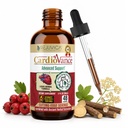 Rejuvica Health Cardiovance - 心脏支持补充 - 液体交付更好的吸收 - 霍桑,Hibiscus, Arjuna, Olive Leaf & More!