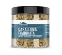 土生土长元素 Caralluma Fimbriata 200 Capsules, 纯和未稀释, 无添加剂