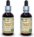 Balm Of Gilead (Populus candicans) 叮当,有机干芽液体提取物(Brand name:Herbalterra, 在美国骄傲制造) 2x2 fl.oz (2x60 ml)
