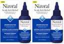 Nizora Scalp Itch 救济液体——释放Scalp Ich和Soothes, 镇定剂和水合剂, 具有最大强度的抗痒药物(Hydrocortisone 1%), 2 Fl Oz (2包)
