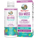 玛丽·鲁斯 有机海 Moss with Spirulina and Chlorella Liposomal | |  Chlor  Chlor  Chlor  Chlor  Dan  Dan  Dan  Dan  Dan  Dan  Dan  Dan  Dan  Dan  Dan  Dan  Dan  Dan  Dan  Dan  Dan  Dan  Dan  Dan  Dan  Dan  Dan  Dan  Dan  Dan  Dan  Dan  Dan  Dan  Dan  Dan  Dan  Dan  Dan  Dan  Dan  Dan  Dan  Dan  Dan  Dan  Dan  Ul  Ul  Ul  Ul  Ul  Ul  Ul | | | | | | | | | | | | | | | | | | | | | | | | | | | | | | | | | | | | | | | | | | | | | | | | | | | | | | | | | | | |