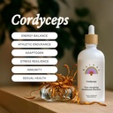 Rainbo - Cordyceps Mushroom Tincture - 双重提取Mushroom 补充 - 免疫支持,能量,液态Cordyceps 补充,Vegan,非转基因生物,3.4 fl oz