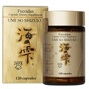 Fucoidan Capsule纯海藻提取器加固,加固了Agaricus蘑菇 优化的免疫支持保健补充剂-120 Capsules