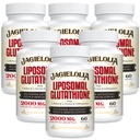 含L-Serine、L-Glycine和Sulforapane的L-Glutathione 2000毫克 — 活性L-Glutathione 增强吸收的独特配方 — 主抗氧化剂、解毒和免疫 360软胶